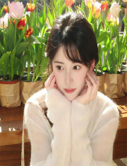 《厨房故事》故事脉络梳理：主线与支线情节完整解读，推荐